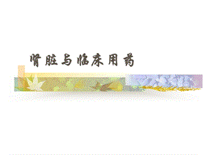 肾脏与临床用药.ppt