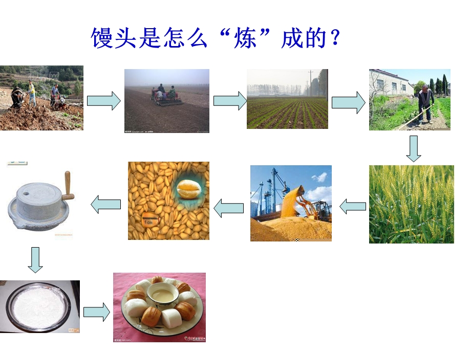 珍惜粮食文明用餐ppt.ppt_第3页