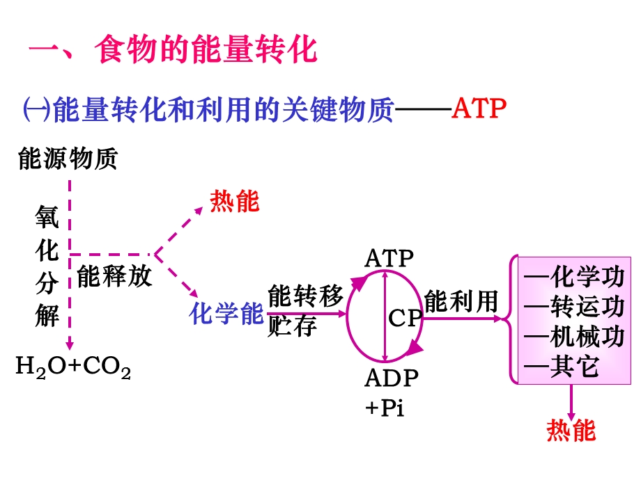 能量代谢 和体温.ppt_第3页