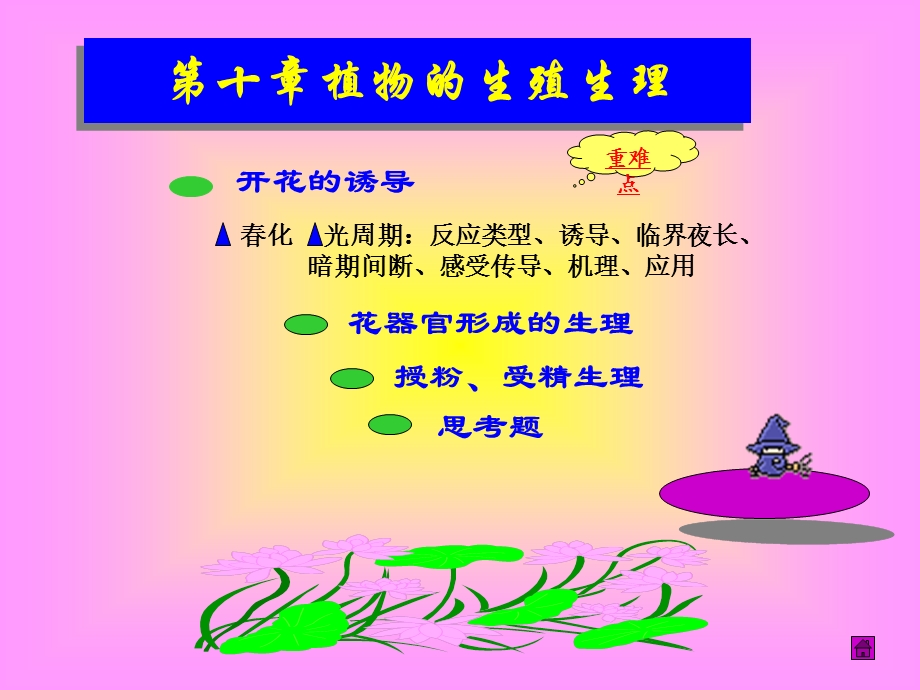 植物的生殖生理.ppt_第1页