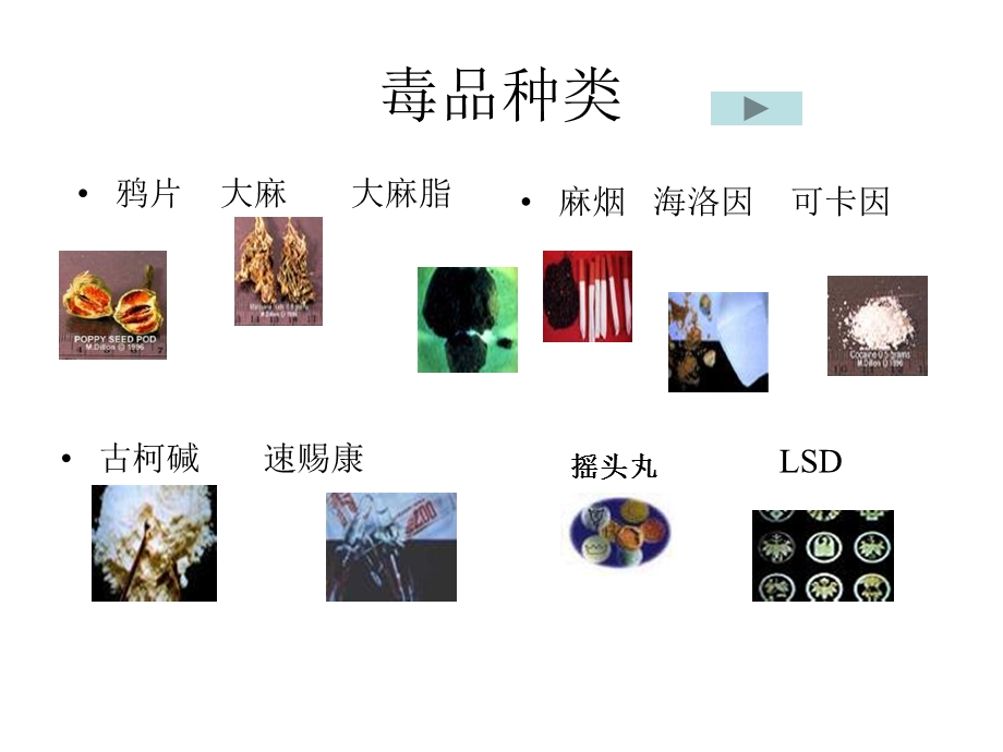 珍惜生命远离毒品.ppt_第3页