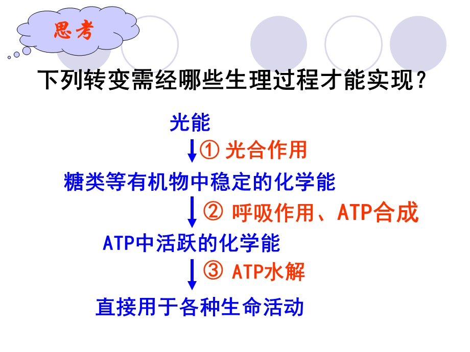 5.4.1捕获光能的色素和结构课件.ppt_第2页