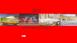 2013年新春客户联谊会策划方案PPT.ppt