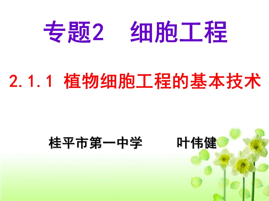 植物细胞工程的基本技术(叶伟健).ppt_第1页