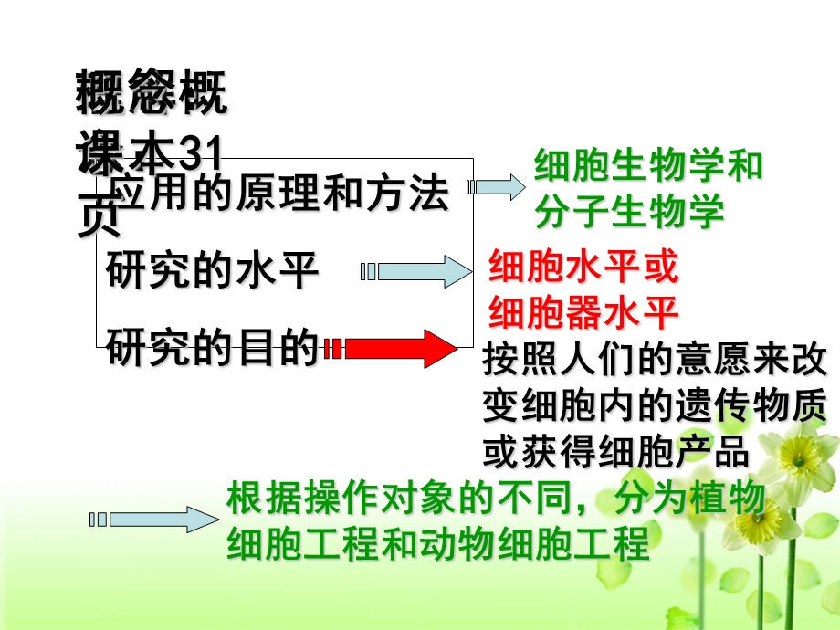 植物细胞工程的基本技术(叶伟健).ppt_第3页