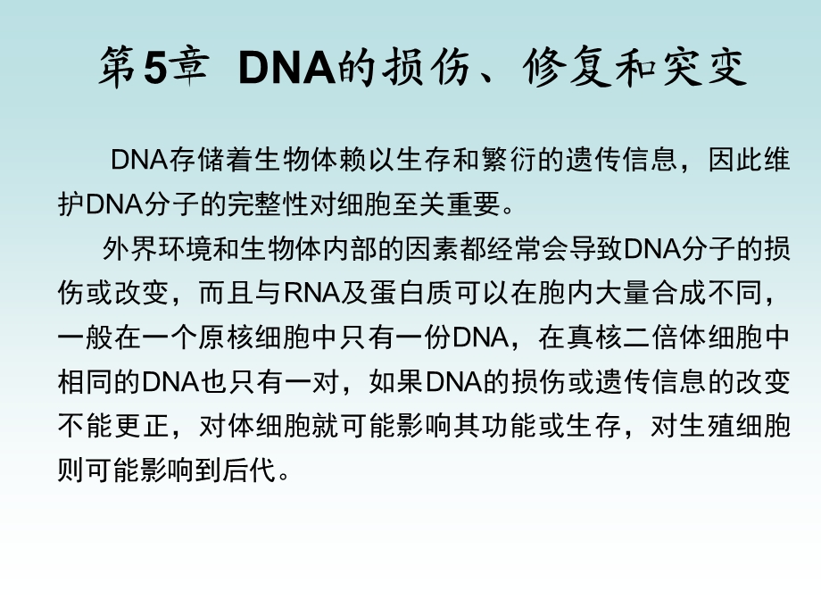 DNA的损伤、修复和突变.ppt_第2页