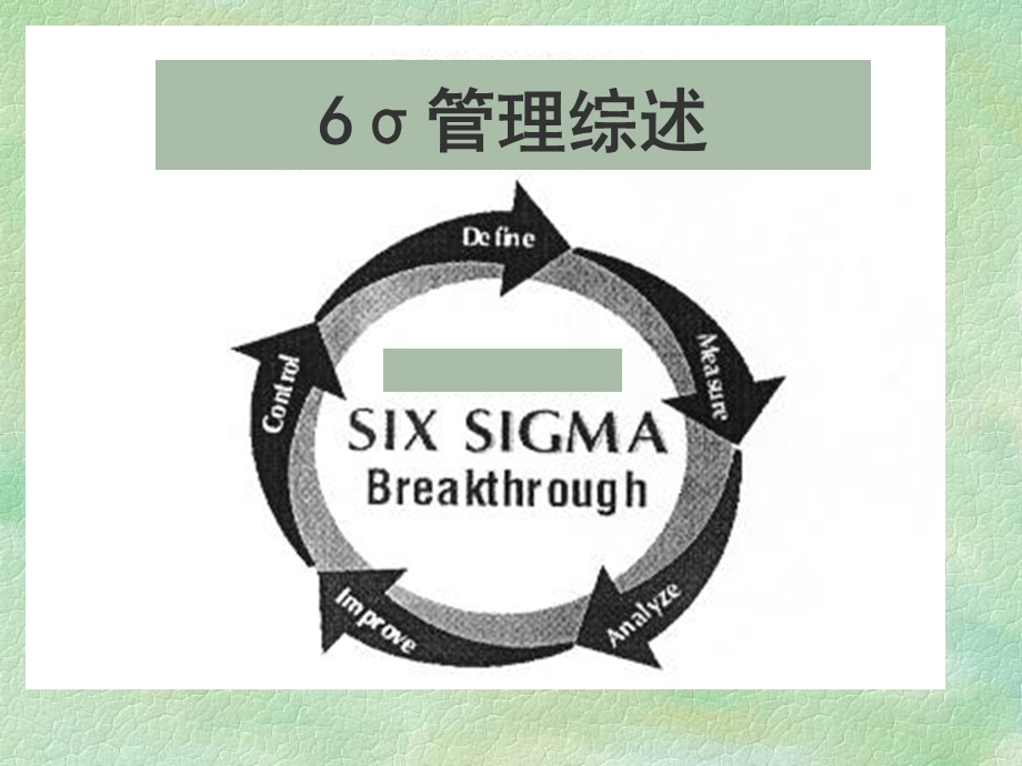 6sigma(追求卓越).ppt_第1页