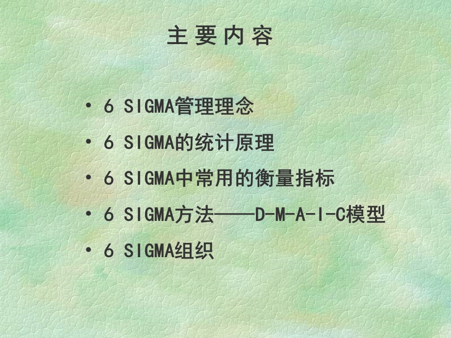 6sigma(追求卓越).ppt_第2页