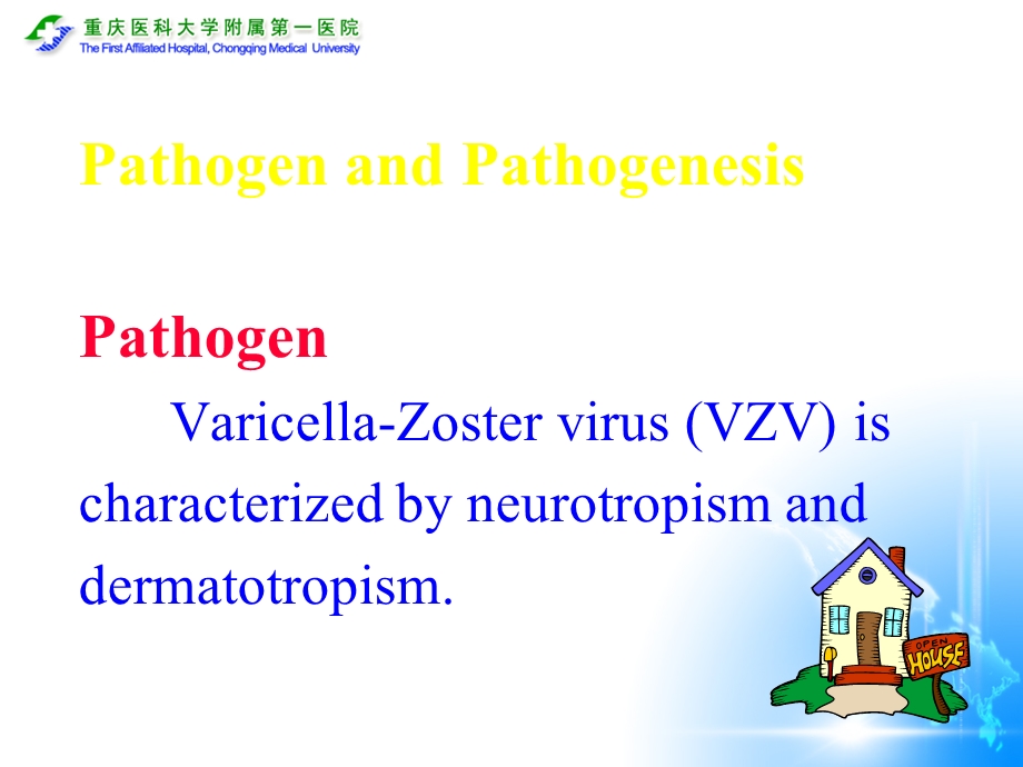 Herpes Zoster带状疱疹.ppt_第3页