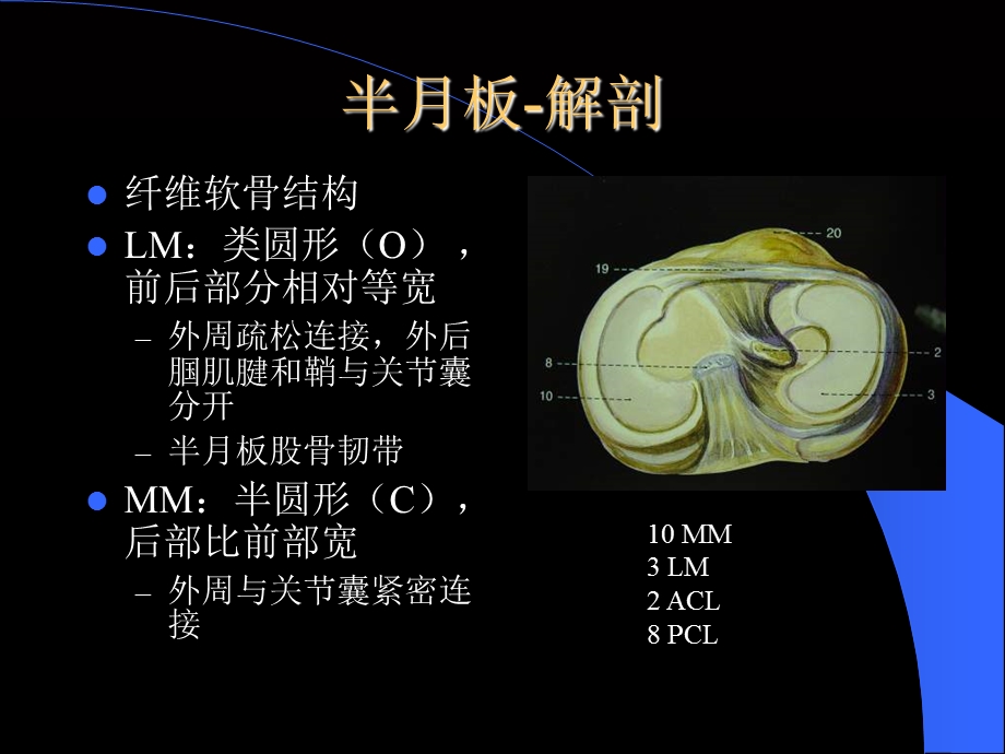 MRI在膝关节创伤的应用.ppt_第3页