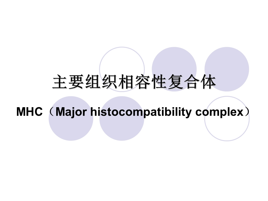 MHC分子免疫课赵红珊.ppt_第1页