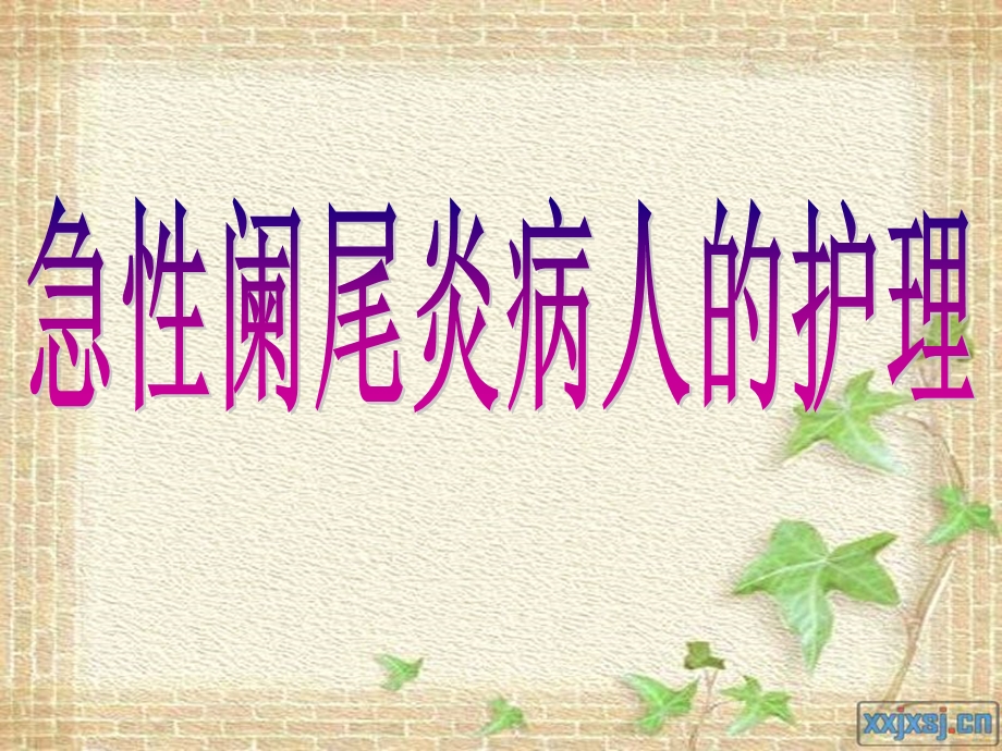 linlin325阑尾炎.ppt_第1页