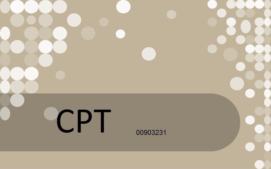 CPT贸易术语介绍.ppt_第1页