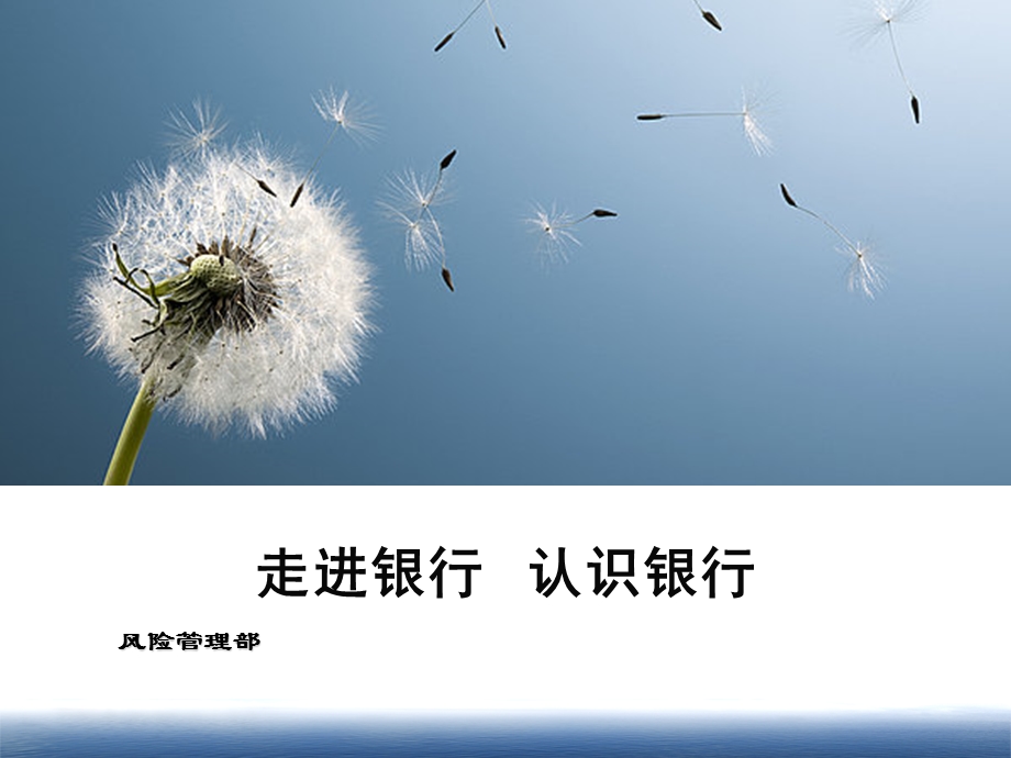 银行入职培训课件.ppt_第1页