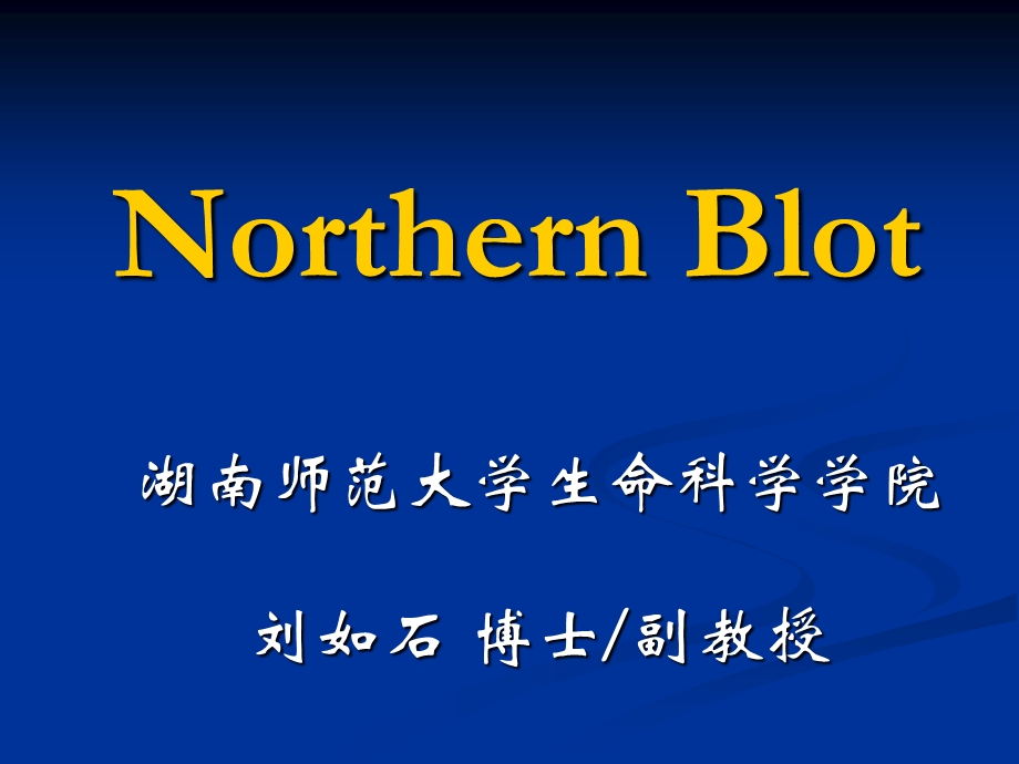 Northern-Blot印迹杂交.ppt_第1页