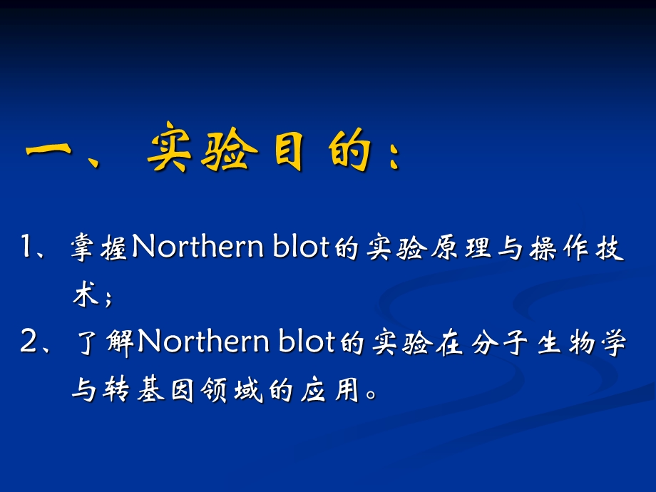 Northern-Blot印迹杂交.ppt_第2页