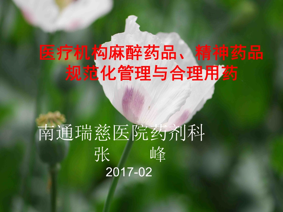 2017麻醉药品、精神药品培训课件.ppt_第1页