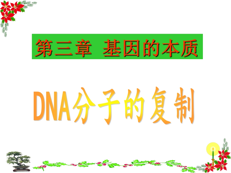 DNA分子的复制动画.ppt_第1页