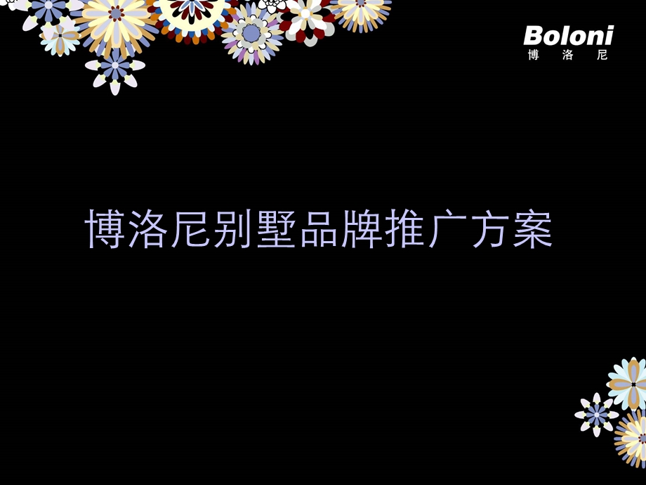 Boloni别墅推广方案.ppt_第1页