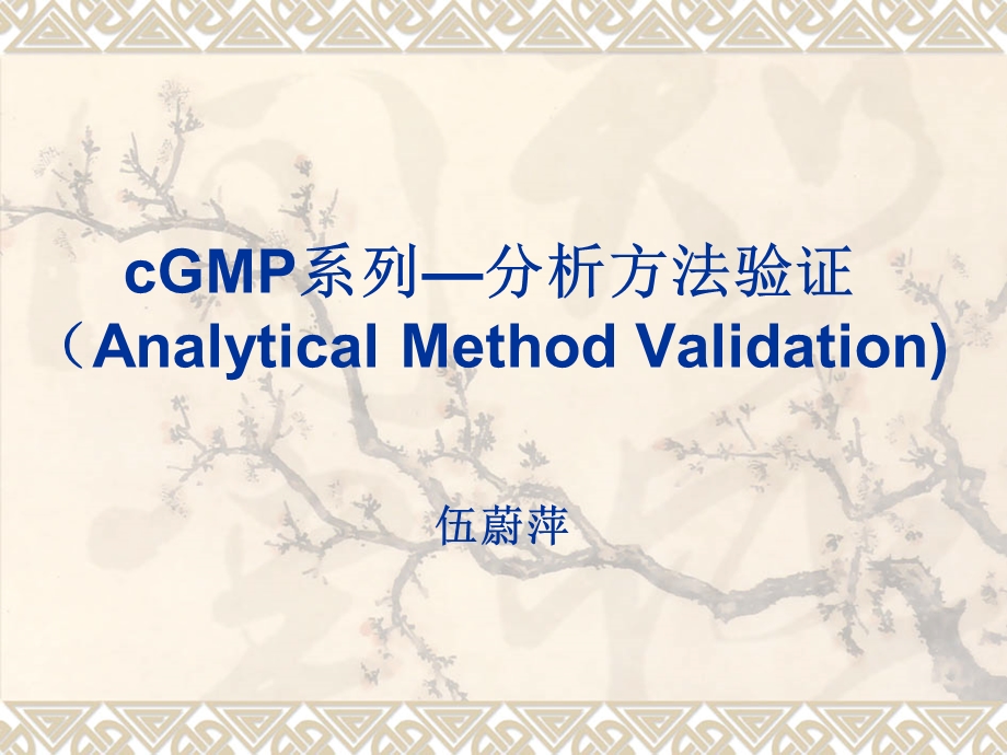 GMP分析方法验证.ppt_第1页