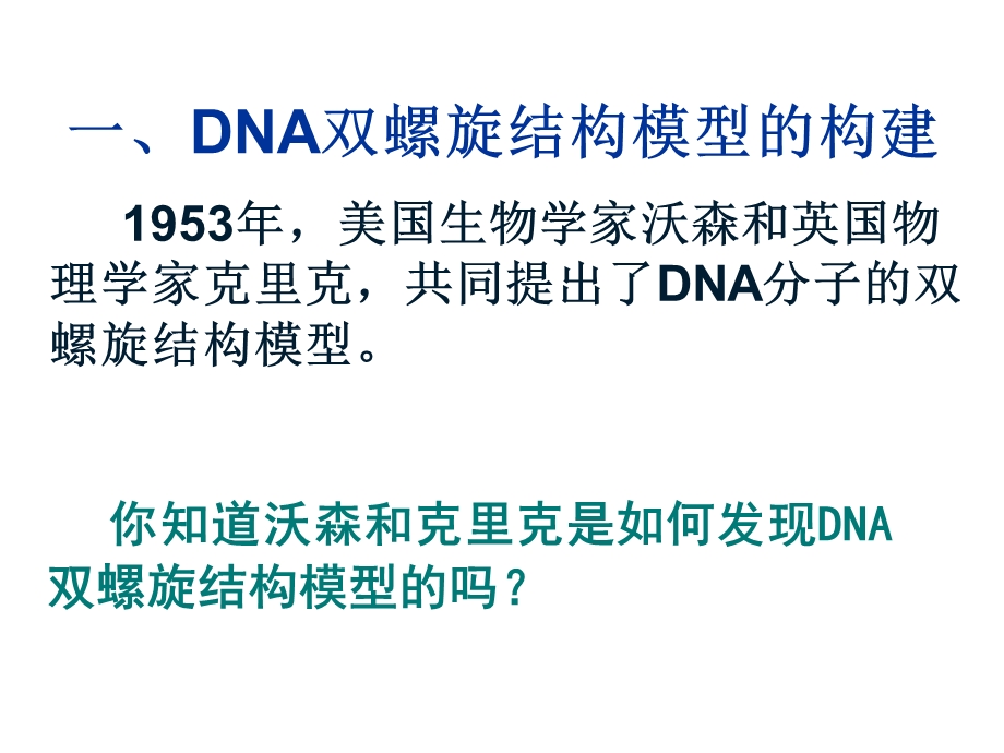 DNA分子的结构ppt.ppt_第3页