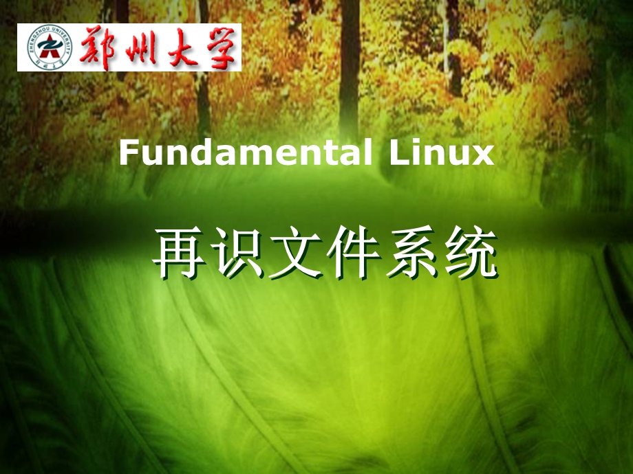 linux磁盘与文件系统管理.ppt_第1页