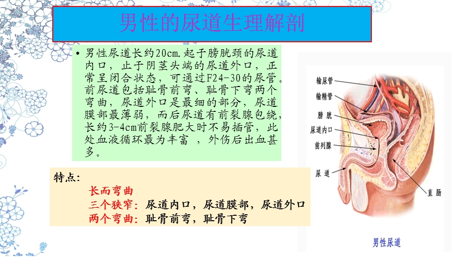 《手术室中导尿》PPT课件.ppt_第3页