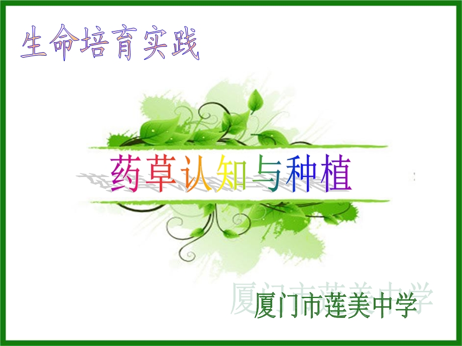 《中草药的认识》PPT课件.ppt_第1页