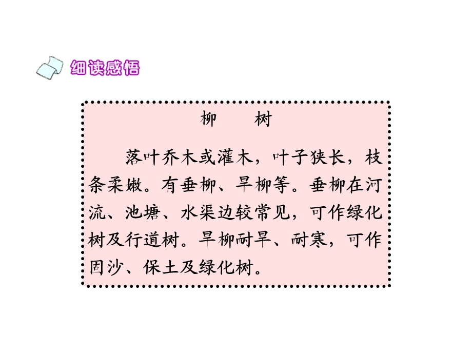 《小柳树和小枣树》PPT课件.ppt_第3页