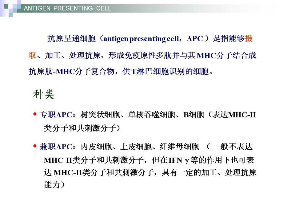 《医学免疫学APC》PPT课件.ppt_第3页