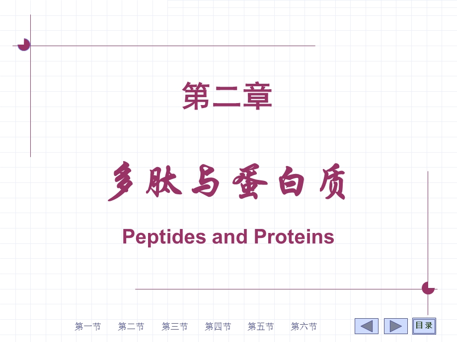《多肽与蛋白质》PPT课件.ppt_第1页