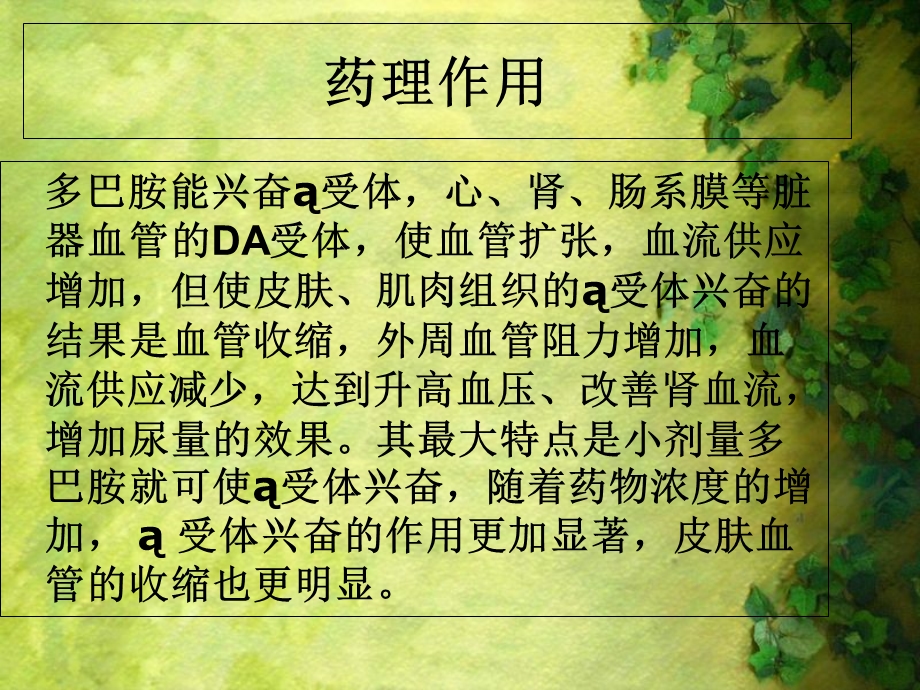 《多巴胺外渗处理》PPT课件.ppt_第2页