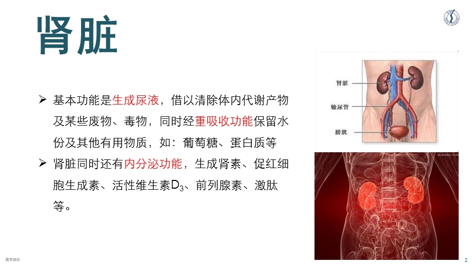 《慢性肾脏病》PPT课件.ppt_第2页