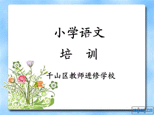 《小学语文培训》PPT课件.ppt