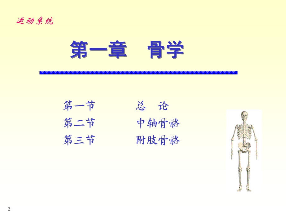 《人体解剖骨学》PPT课件.ppt_第2页