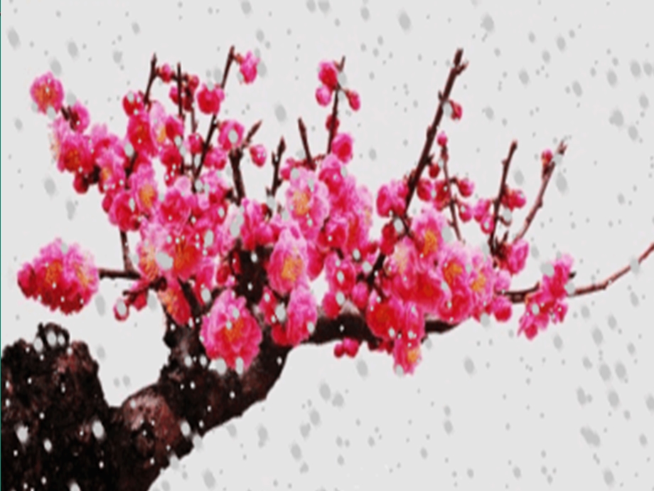 梅花魂PPT课件副本.ppt_第2页