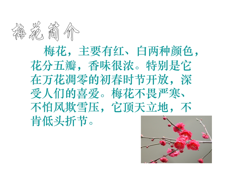 梅花魂PPT课件副本.ppt_第3页