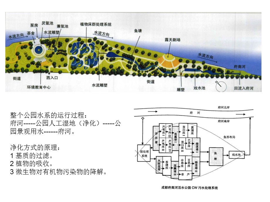 《成都活水公园》PPT课件.ppt_第3页