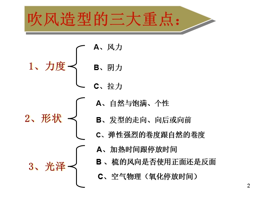 《初级吹风造型》PPT课件.ppt_第2页