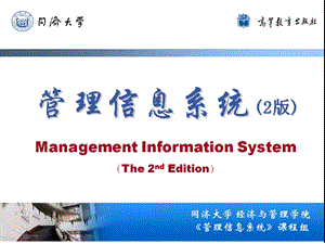 《信息系统实施》PPT课件.ppt