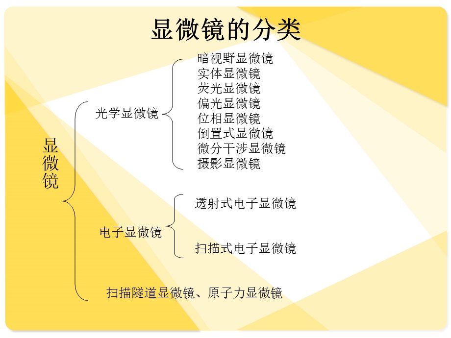 《原子力显微镜》PPT课件.ppt_第3页