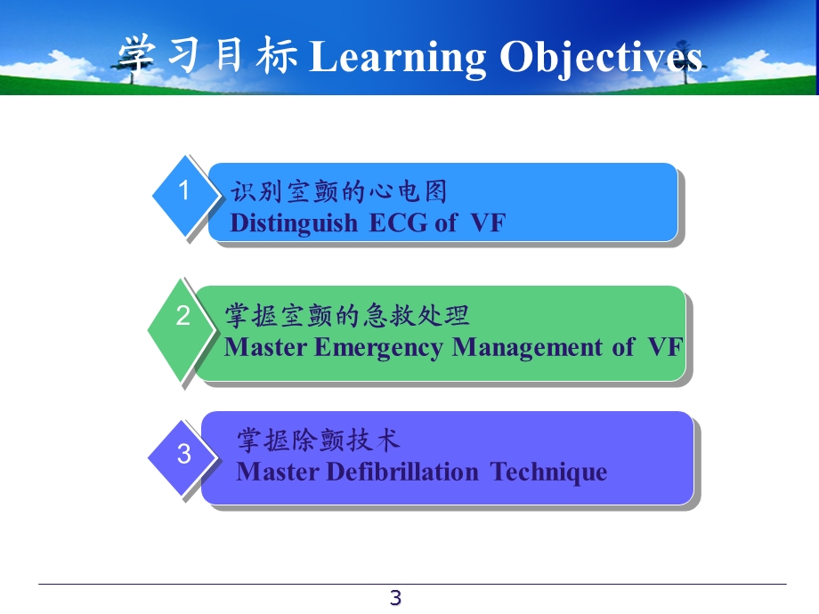 《室颤与急救》PPT课件.ppt_第3页