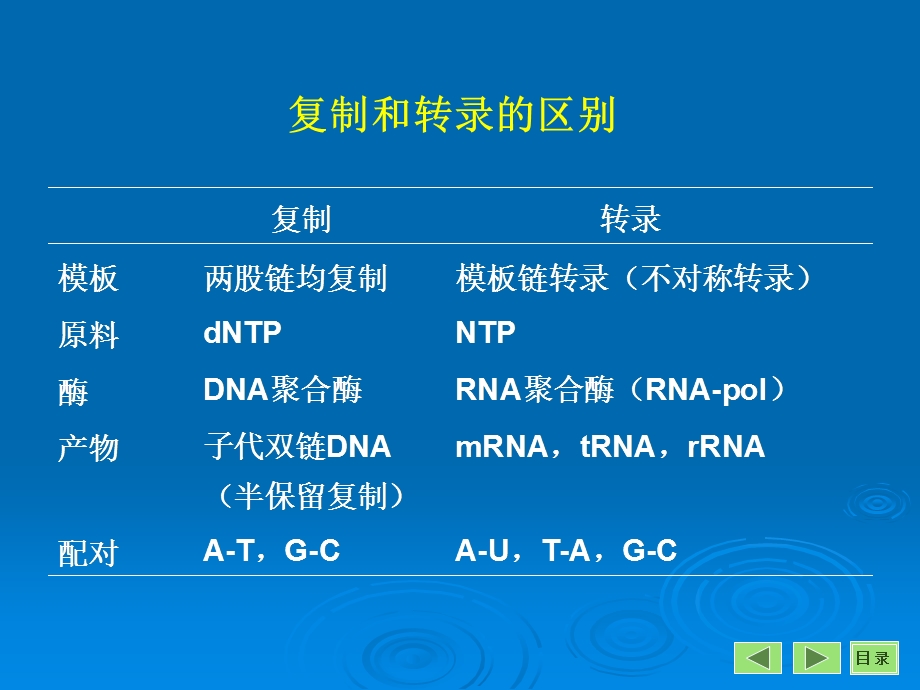 《RAN转录》PPT课件.ppt_第3页