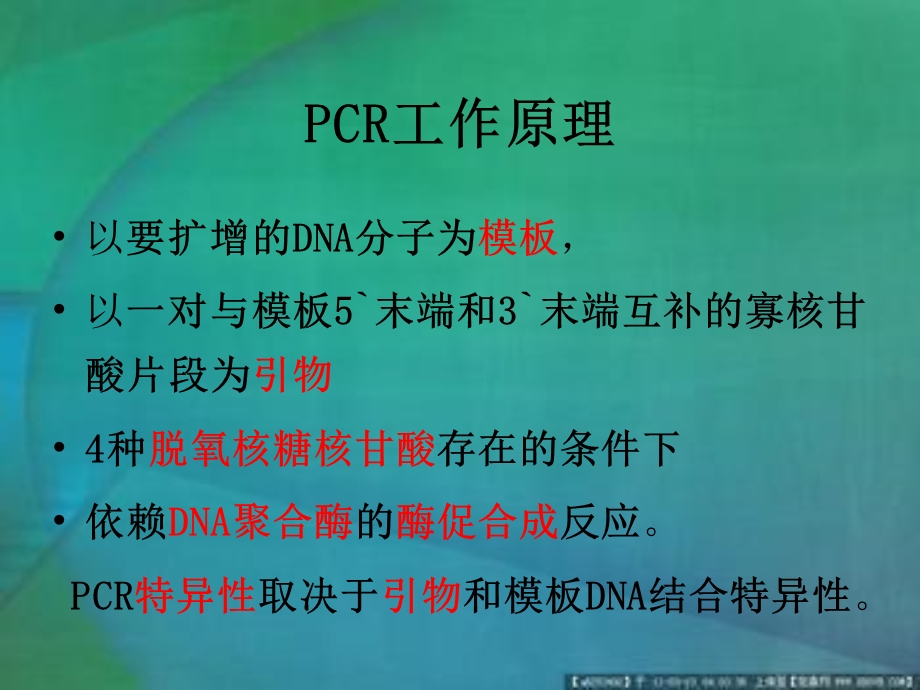 《各种PCR介绍》PPT课件.ppt_第3页