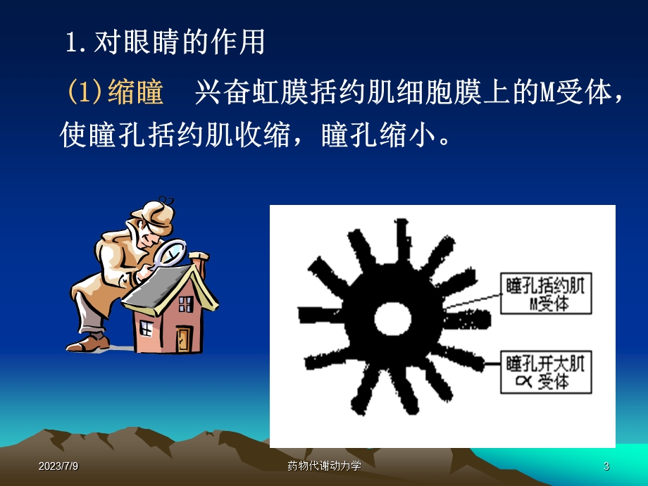 西医药理学第3章胆碱受体激动药.ppt_第3页