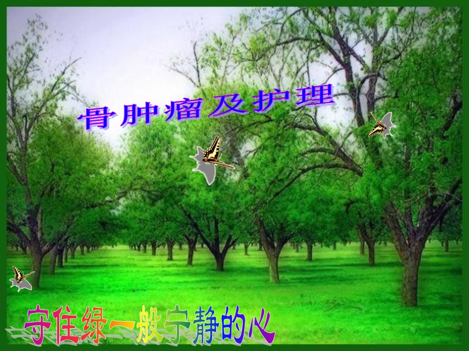 专升本 骨肿瘤病人的护理.ppt_第1页