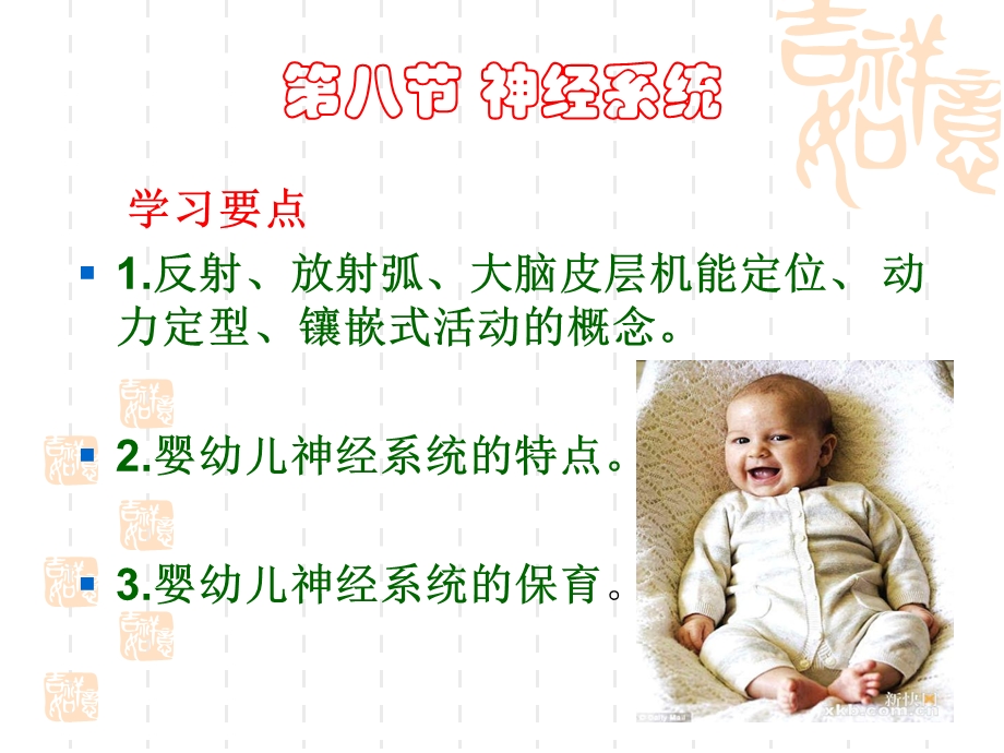 《婴幼儿神经系统》PPT课件.ppt_第1页