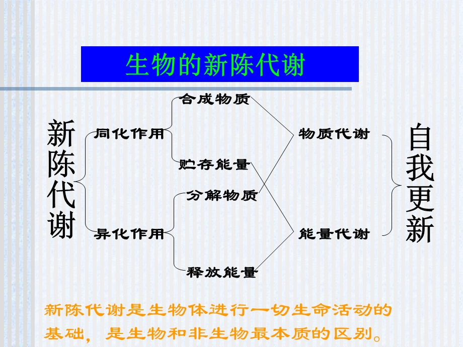 《生物的新陈代谢》PPT课件.ppt_第1页