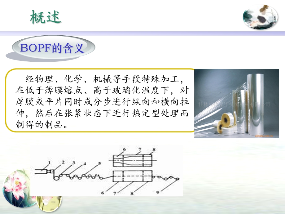 《双向拉伸薄膜》PPT课件.ppt_第3页