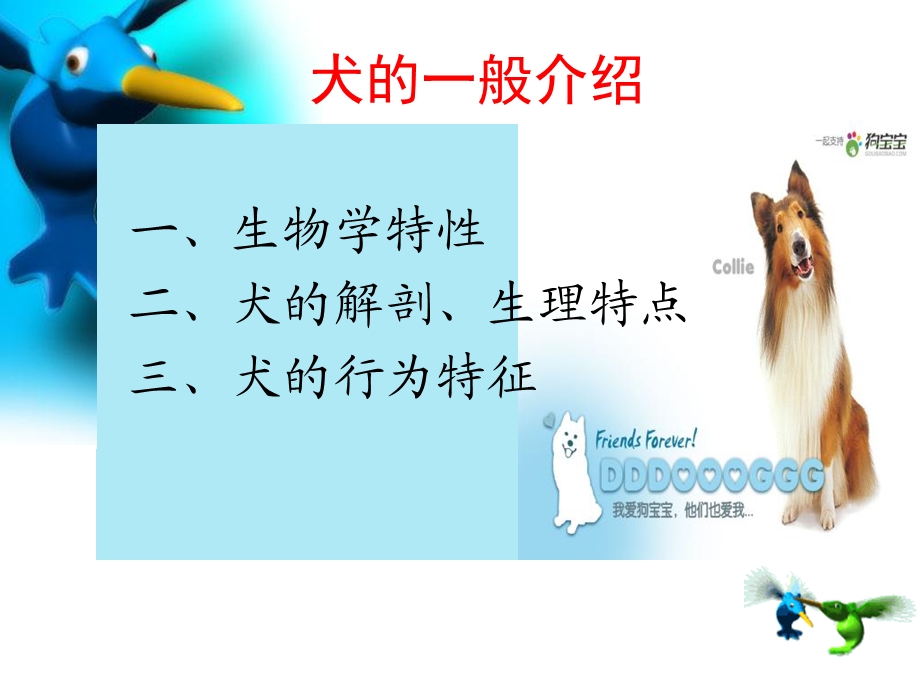 《犬的一般介绍》PPT课件.ppt_第2页